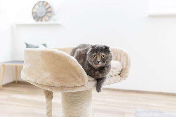 Katzenbaum große Katzen [93 cm] Kratzbaum Kerbl Toni XL - extra stabile Bodenplatte